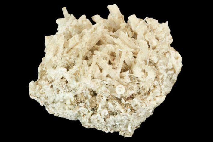 Selenite Crystal Cluster - Bisbee, Arizona #126905